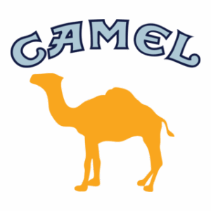 evenement camel tunisie